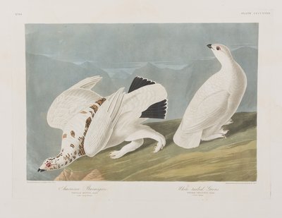 Ilustración de 