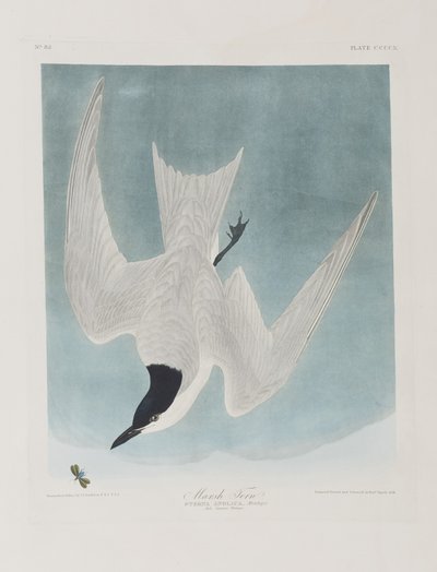 Ilustración de 