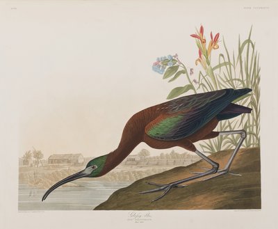 Ilustración de 