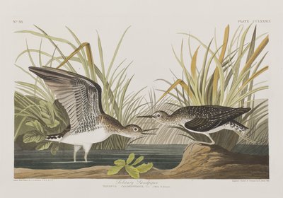 Ilustración de 