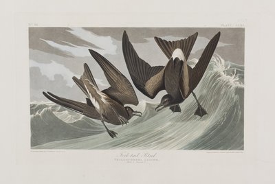 Ilustración de 