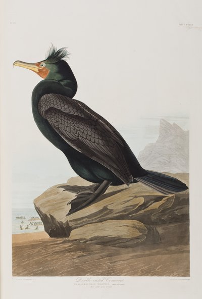 Ilustración de 