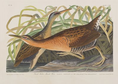 Ilustración de 
