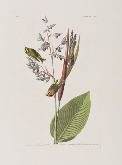 Ilustración de 