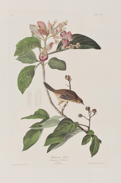 Ilustración de 
