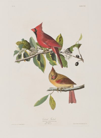 Ilustración de 