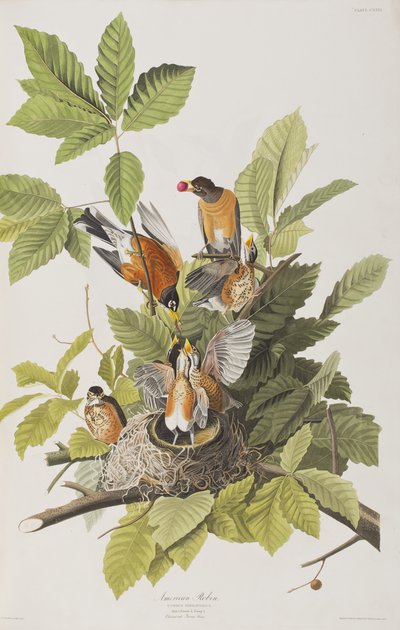 Ilustración de 