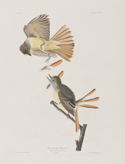 Ilustración de 