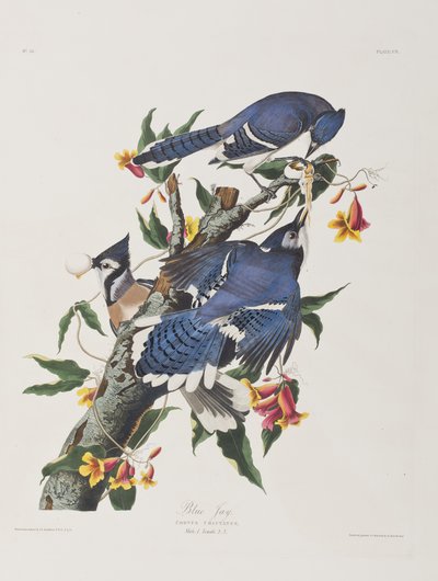 Ilustración de 