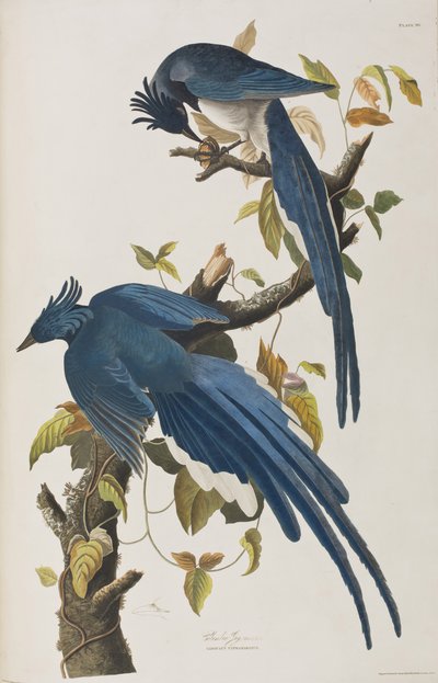 Ilustración de 