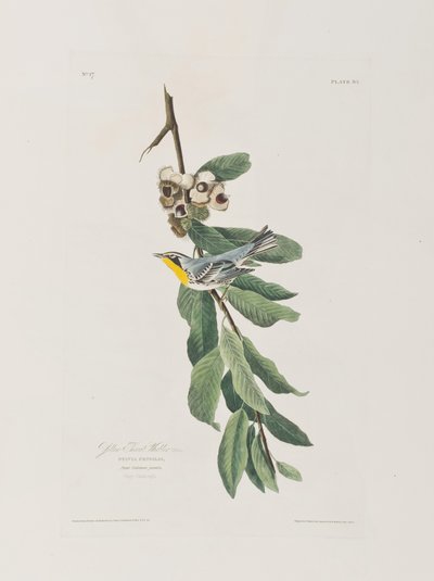 Ilustración de 