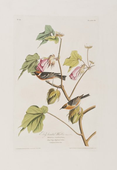 Ilustración de 