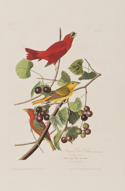 Ilustración de 