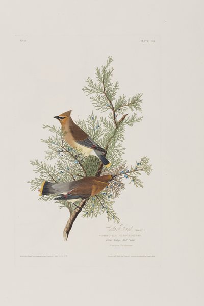 Ilustración de 