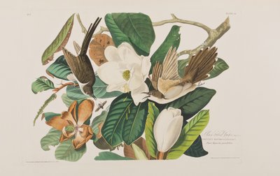 Ilustración de 