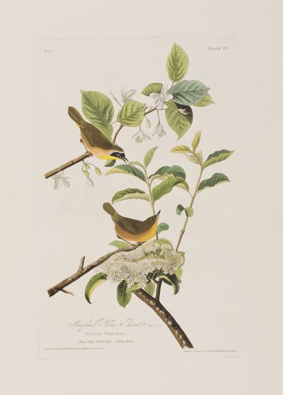 Ilustración de 