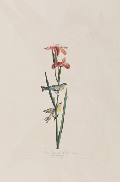 Ilustración de 