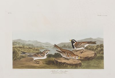 Ilustración de 