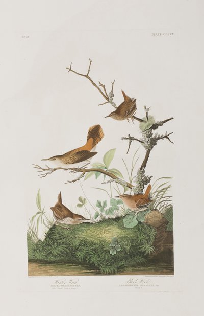 Ilustración de 