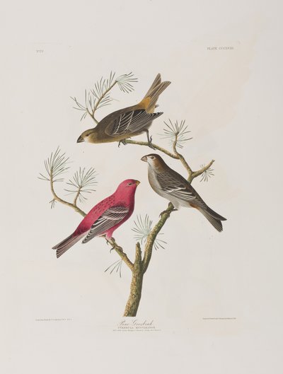 Ilustración de 