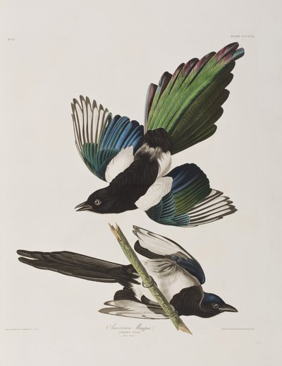 Ilustración de 