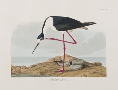Ilustración de 