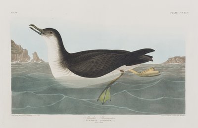 Ilustración de 