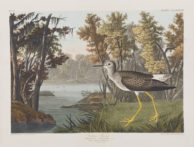 Ilustración de 