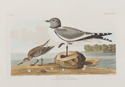 Ilustración de 