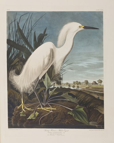Ilustración de 