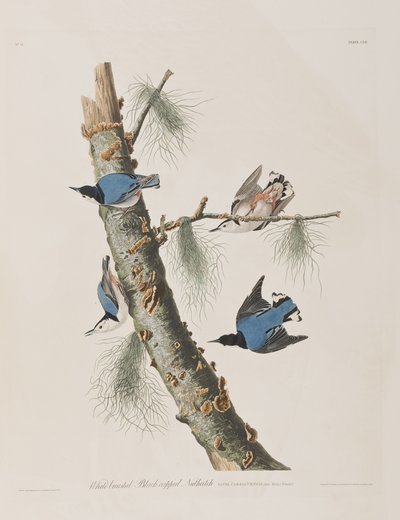 Ilustración de 