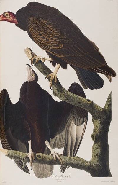 Ilustración de 