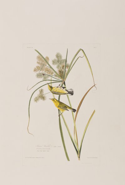 Ilustración de 