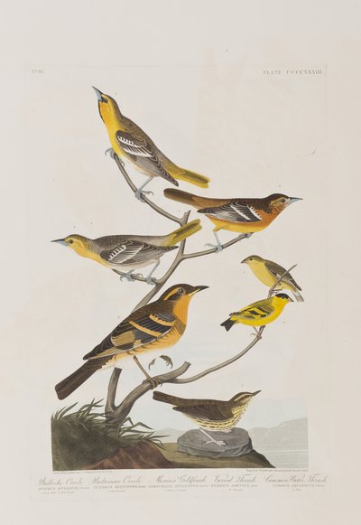 Ilustración de 