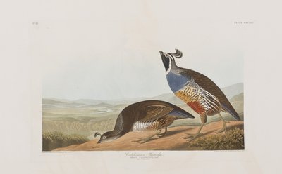 Ilustración de 