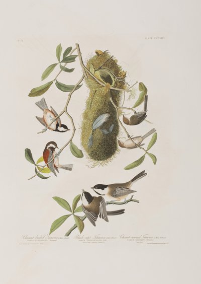 Ilustración de 