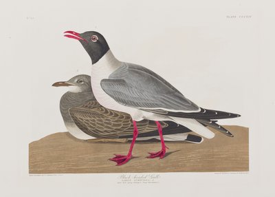 Ilustración de 