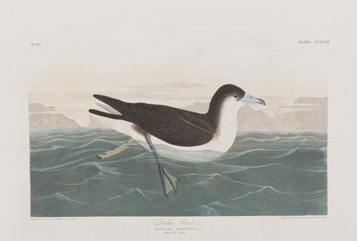Ilustración de 