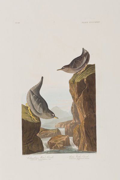Ilustración de 