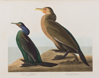Ilustración de 