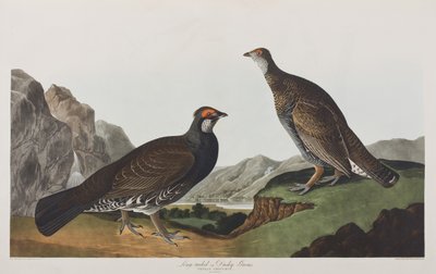 Ilustración de 