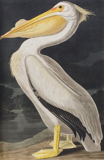 Ilustración de 