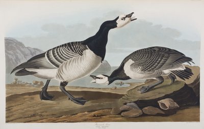 Ilustración de 
