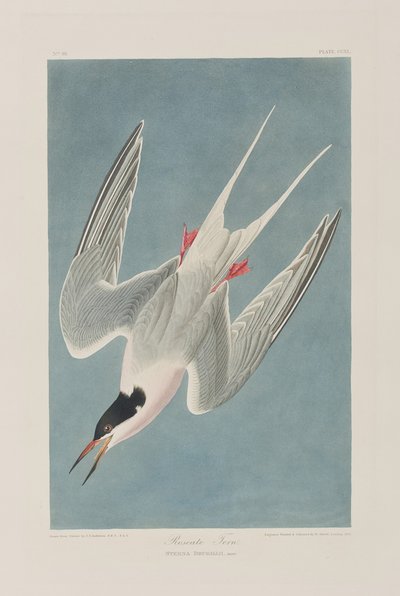 Ilustración de 