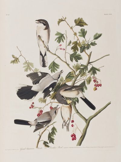 Ilustración de 