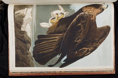 Ilustración de 
