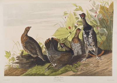 Ilustración de 