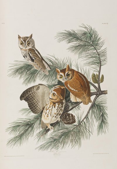 Ilustración de 