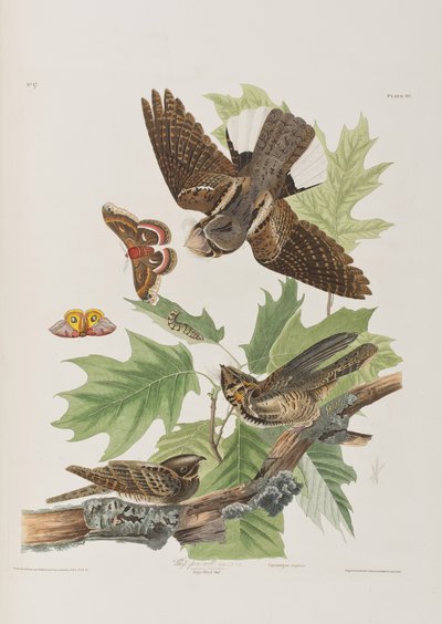 Ilustración de 