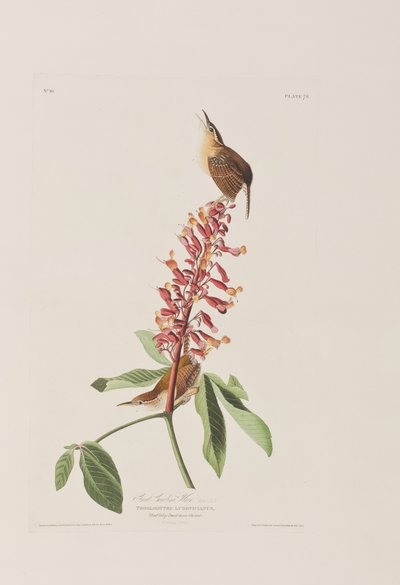 Ilustración de 